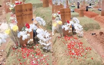 anggrek putih di makam vidi aldiano