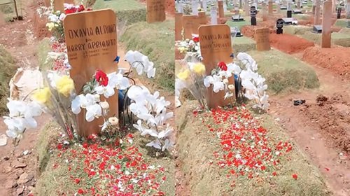 anggrek putih di makam vidi aldiano