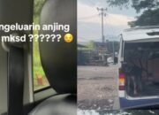 Viral di Threads, Pengendara Diduga Gunakan Anjing untuk Intimidasi Pasangan Muda yang Bawa Bayi