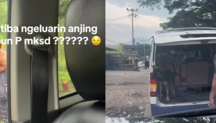 Viral di Threads, Pengendara Diduga Gunakan Anjing untuk Intimidasi Pasangan Muda yang Bawa Bayi