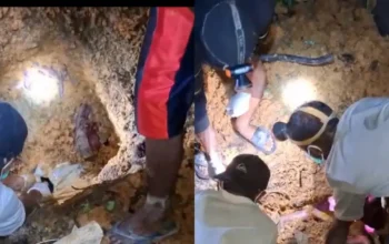 Heboh! Suami Hilang, Saat Istrinya Ditemukan Tewas Terkubur di Belakang Rumah